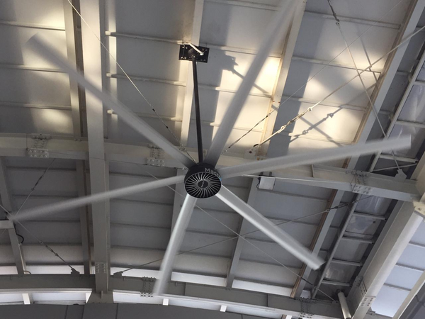 fan safety features to consider