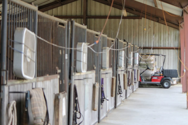 livestock fan mistake