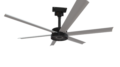 AVD370