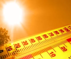 How HVLS Fans Reduce Summer Cooling Expenses