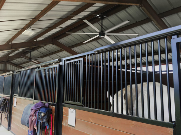 Livestock fan testimonial